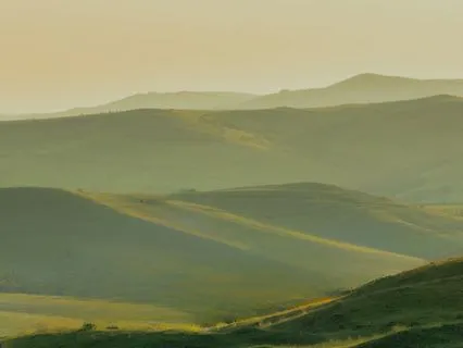 Calming Yoga Nidra Meditation To Reconnect With Your Body