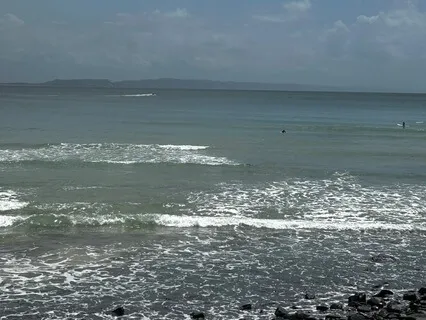 Calming Your Amygdala