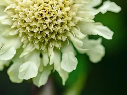 Calming Your Inner Storm