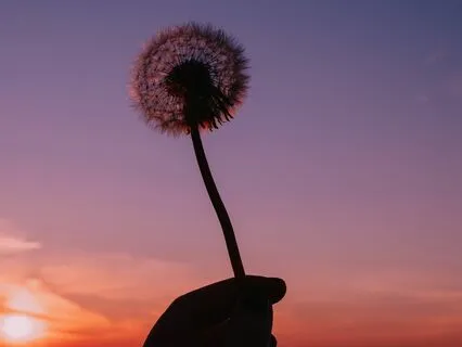 Calmly, Peacefullly & Gracefully Creating Our Reality-Prayer