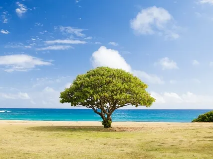 Calmness During Uncertain Times