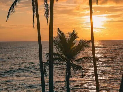 Calmness Meditation | Cultivating Inner Calm