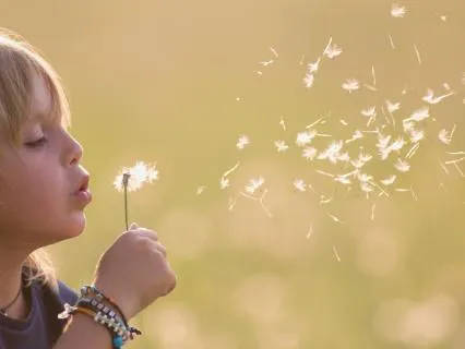 Calmness Of The Wind: Inner Peace And Letting Go