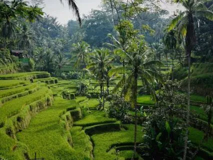 Camila Rivera Bali - Soundful Live IT Sessions 24/11/2025