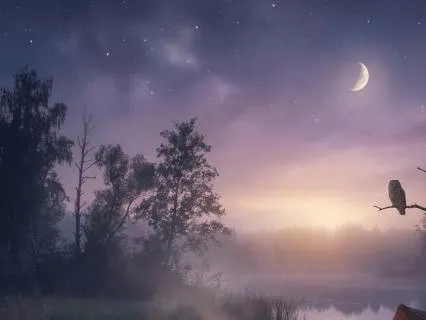 Campfire and Crickets for Night Sleep