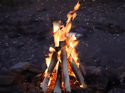 Campfire Clearing