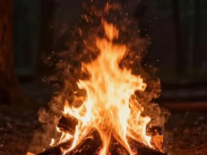 Campfire Forest