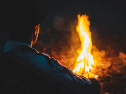 Campfire In Forest