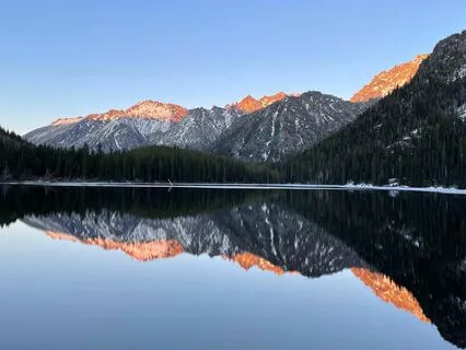 Campfire In The Forest: A Visual Meditation For Relaxation