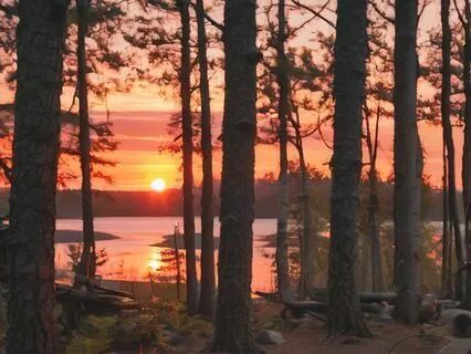 Campfire In The Woods - Deep Relaxation (Binaural Beats)