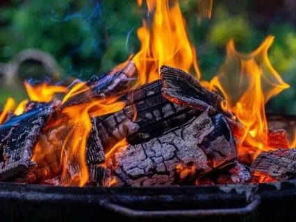 Campfire Serenity With Birdsong: Nature's Harmonious Retreat