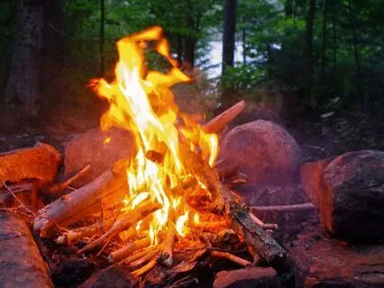 Campfire Sleep Sounds With Crickets Chirping