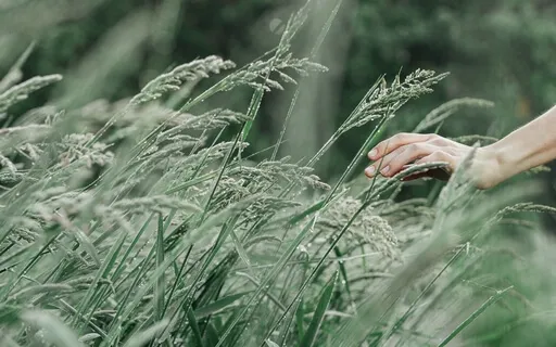 Can I Believe In God?