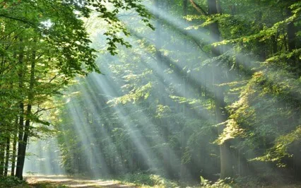 Can I Live A Life Without Any Control Inwardly?