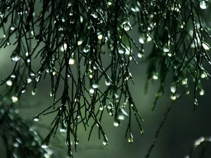 Can I love while loosing who or what I want or being scared