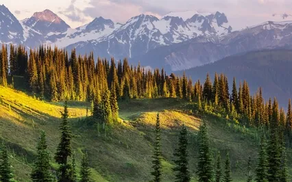 Can One End The Addiction To Thoughts