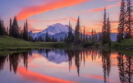 Can One Live A Total Life Without Divison Or Dualities