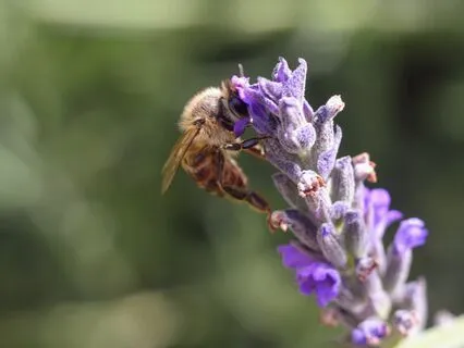 Sleep Relaxation For A Busy Mind: Quiet Your Thoughts