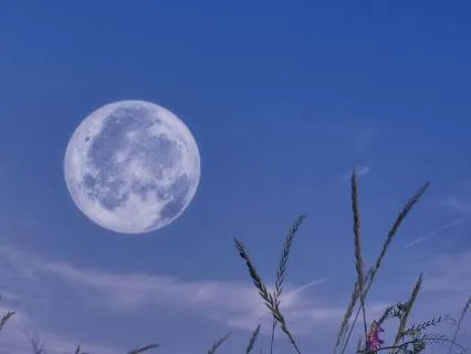 Can’t Sleep? Gentle EFT Tapping To Quiet Your Mind