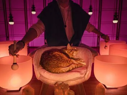 Can't Sleep? Sound Bath