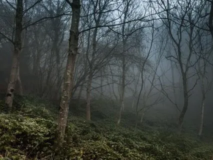 Can't Stop Thinking? A Sleep Story To Quiet Your Mind