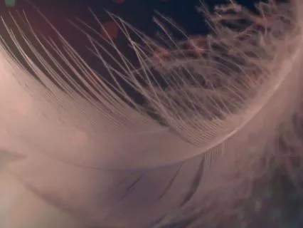 Can't Switch Off? A Gentle Meditation For Burnout