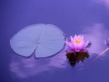 Can The Mind See The Pure Consciousness? 