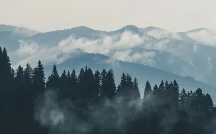 Can The Mind Stay Young? Without Burden, The Mind Is Caring