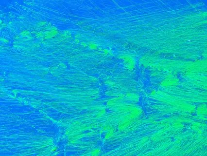 Can We Learn to Focus In A World Of Distraction