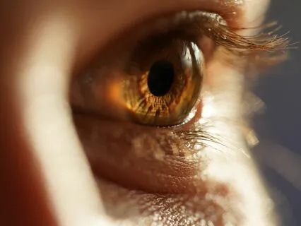 Can You Handle The Truth?