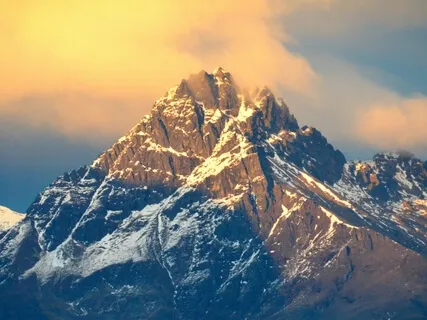 Can You Have Business Success Without Social Media?