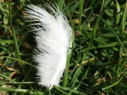 Can You Let Yourself Be Held