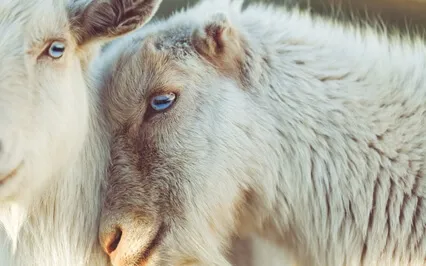 Can You Meet Someone In The Astral Plane? Find Out Now!