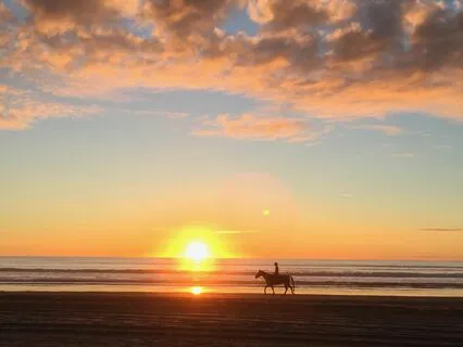 Cancer: Chemo Companion