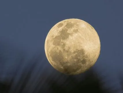 Cancer Full Wolf Moon Practice - January 2026