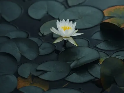 Cancer Meditation: Dealing With Difficult Emotions