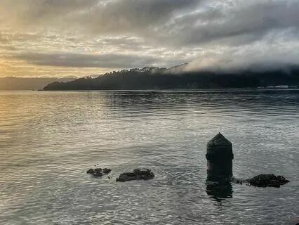 Cancer - Working During Treatment