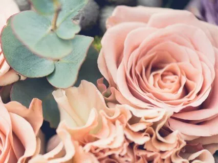 Cancer Zodiac Sign - Connecting With You