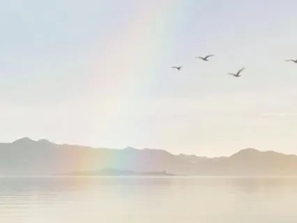 Cannot Wipe Off The Rainbow — Orchestra