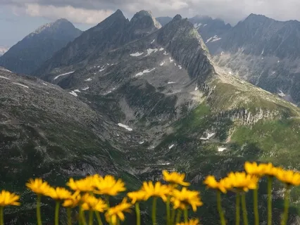 Can't Get Out Of Bed - Guided Movement & Affirmations