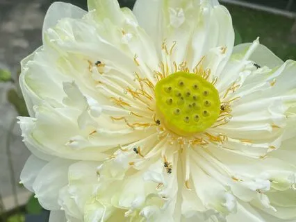 Can't Stop Thinking Of Your EX?