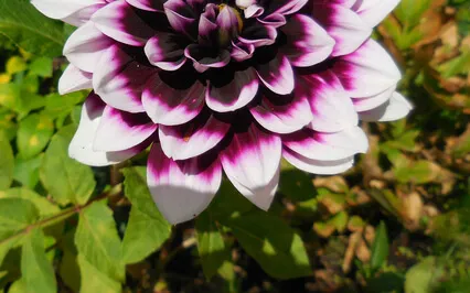 Can't Stop Thinking While Meditating Try These Techniques 