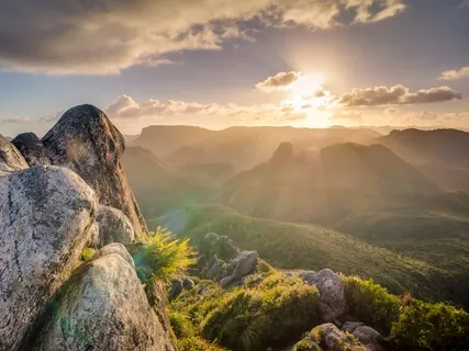 Cantan los Ángeles: Frecuencias Angelicales