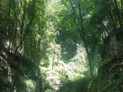 Mother's Song | Relaxing Piano Music