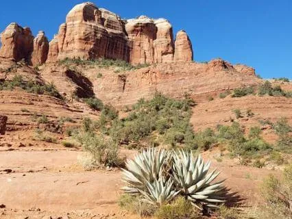 Canyon Dreams (8-hr. Harp Affirmation Music For Sleep)