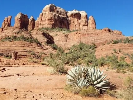 Canyon Dreams (Harp Affirmation Music For Sleep)