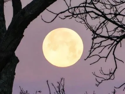 Capricorn Full Moon: Reality Check & Grounding