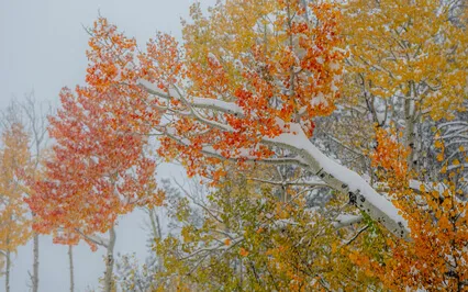 Capricorn Meditation