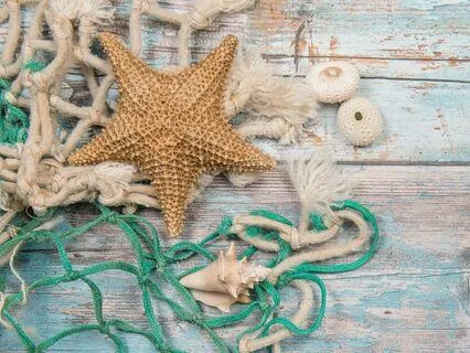 Captain's Cabin Atmospheric Ambience Sea and Treasures