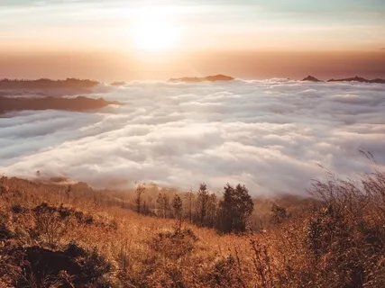 Capturing The Essence Of Your Dharma